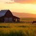 Dutton Ranch : Le triomphe sur Paramount+ n'a pas suffi pour décrocher un Emmy Award en 2026